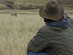 mongolia